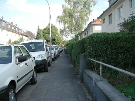 suelz