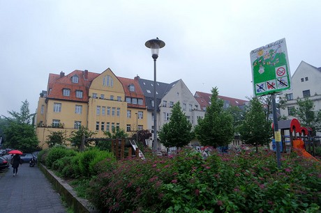 suelz