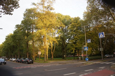 suelz
