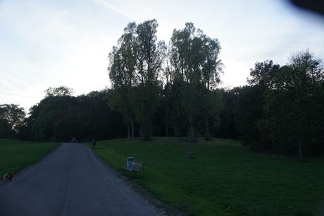 suelz