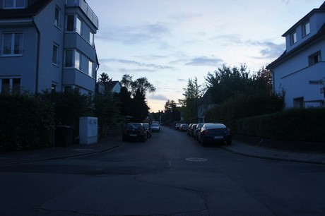 suelz