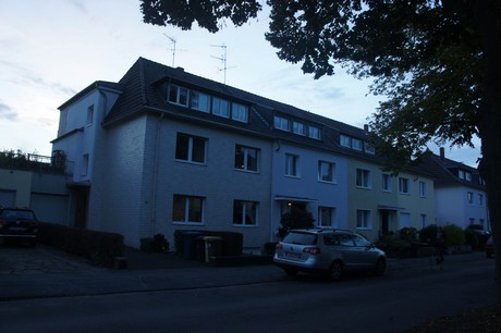 suelz