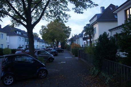 suelz