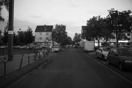 suelz