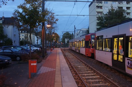 suelz
