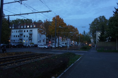 suelz
