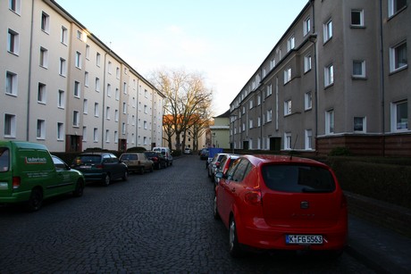 suelz