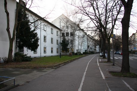 suelz