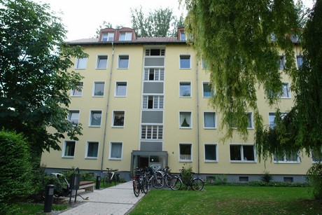 suelz