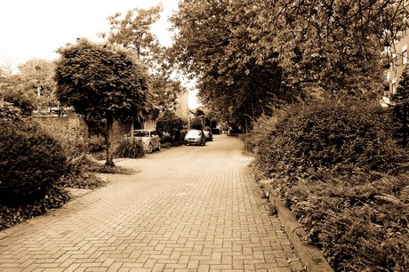 suerth