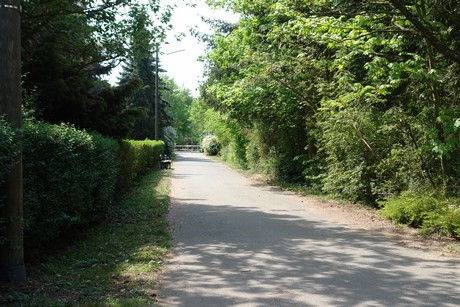 suerth