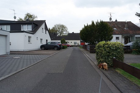vogelsang