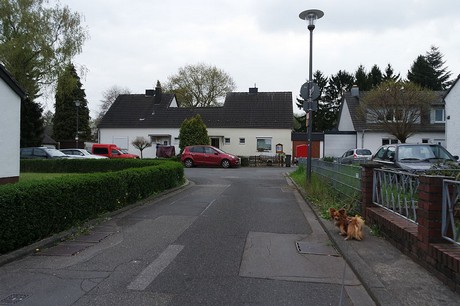 vogelsang