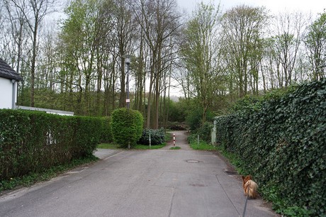vogelsang