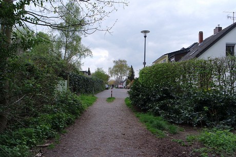 vogelsang