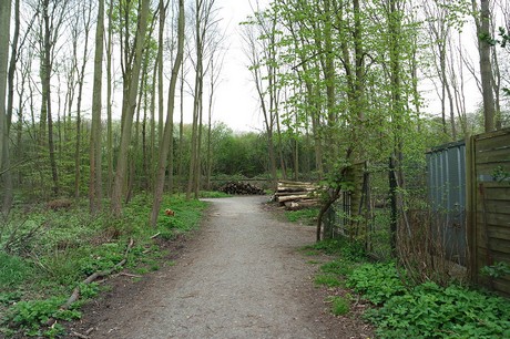 vogelsang
