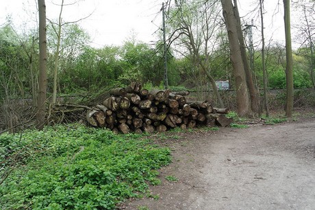 vogelsang