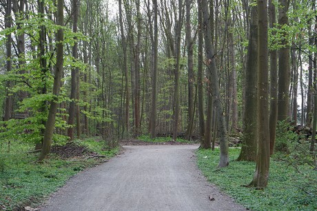 vogelsang