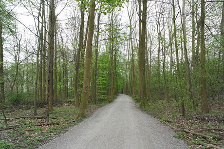 vogelsang