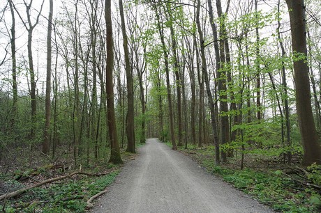 vogelsang