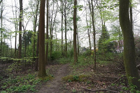 vogelsang