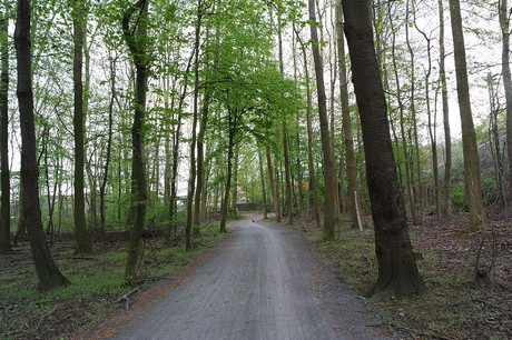 vogelsang