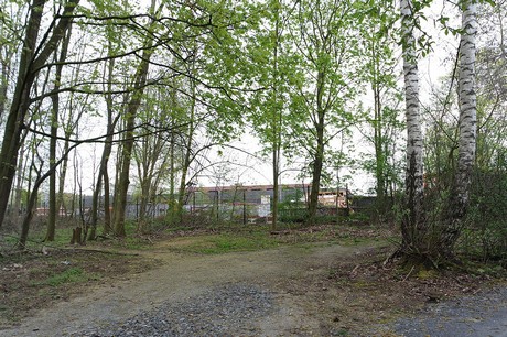 vogelsang