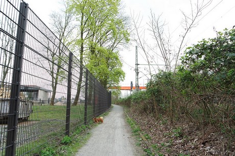 vogelsang