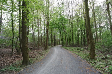 vogelsang