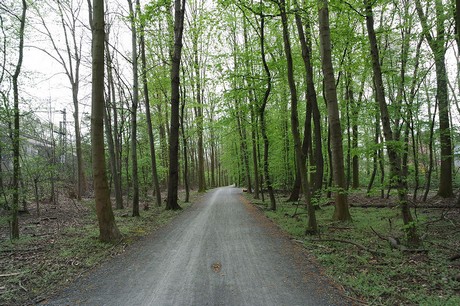 vogelsang