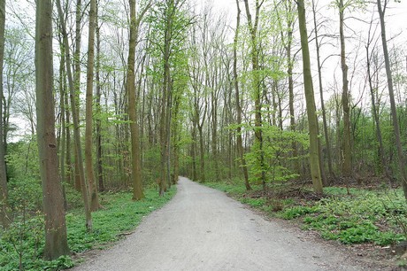 vogelsang
