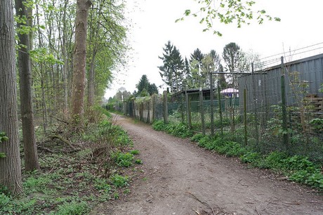 vogelsang