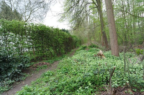 vogelsang