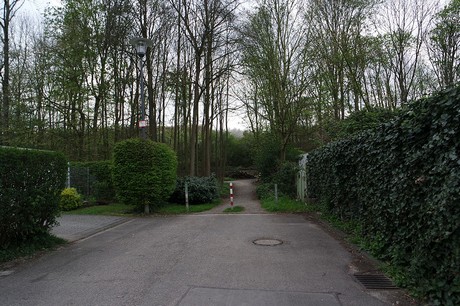 vogelsang