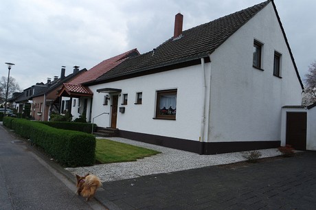 vogelsang