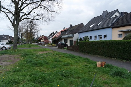 vogelsang
