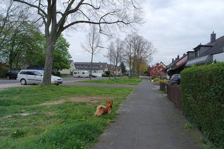 vogelsang