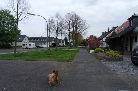 vogelsang