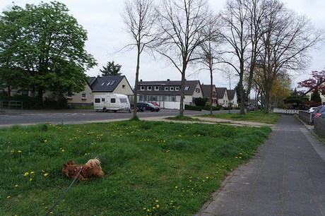 vogelsang