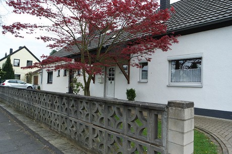 vogelsang