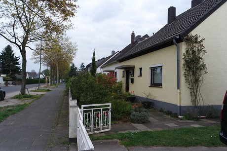 vogelsang