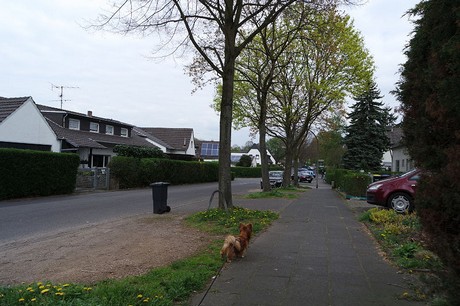vogelsang