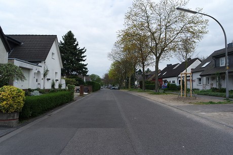 vogelsang