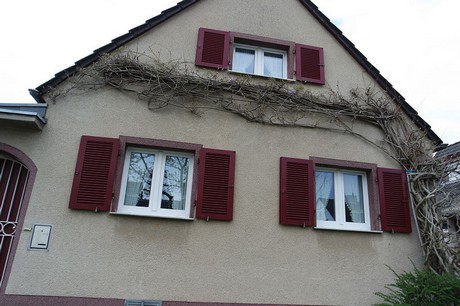 vogelsang