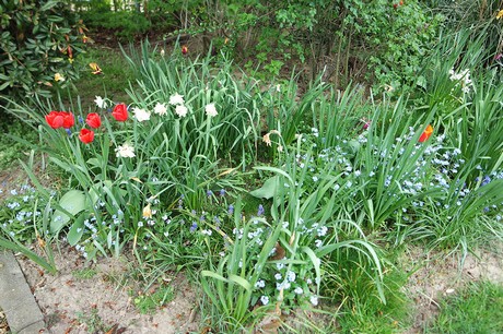 vogelsang