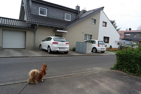 vogelsang