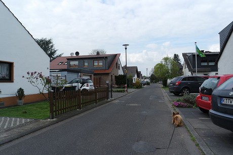 vogelsang
