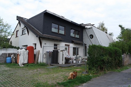 vogelsang
