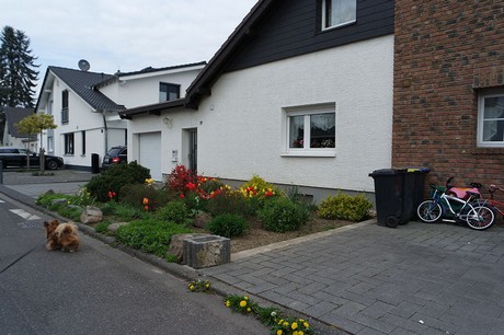 vogelsang