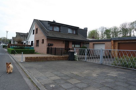 vogelsang